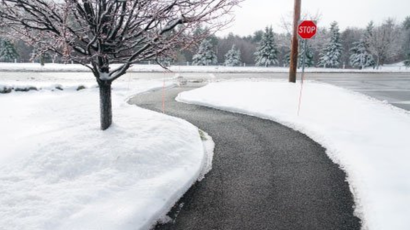 Cleared sidewalk and building entrance for safe winter access in Sioux Falls SD